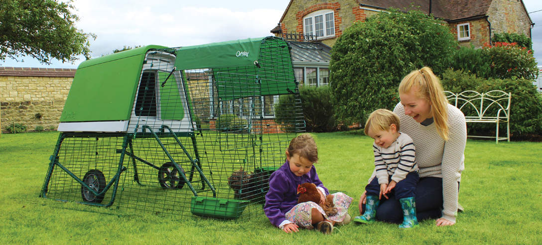 The Eglu Go UP Chicken Coop makes chicken keeping easy and fun for all 