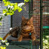 Durable outdoor cat shelves