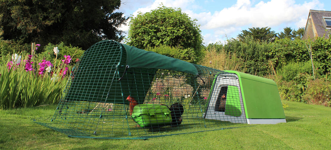 Eglu Go chicken coop with run set up in the garden