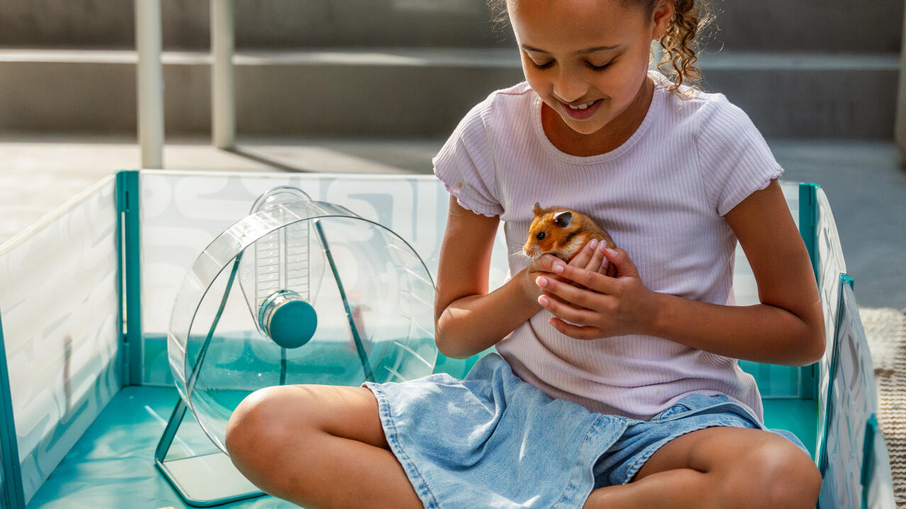 Little girl sitting inside the Omlet hamster playpen with her hamster and accessories