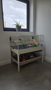 The hamster cage set up with the frame and storage basket.