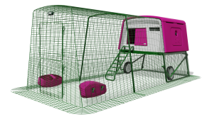 Eglu Cube Chicken Coop with Run (3m) and Wheels - Purple