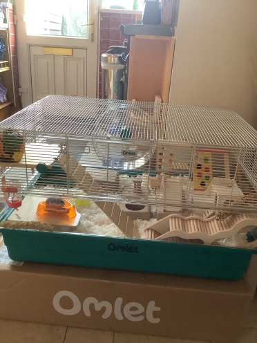 REMY happy hamster in her new cage.