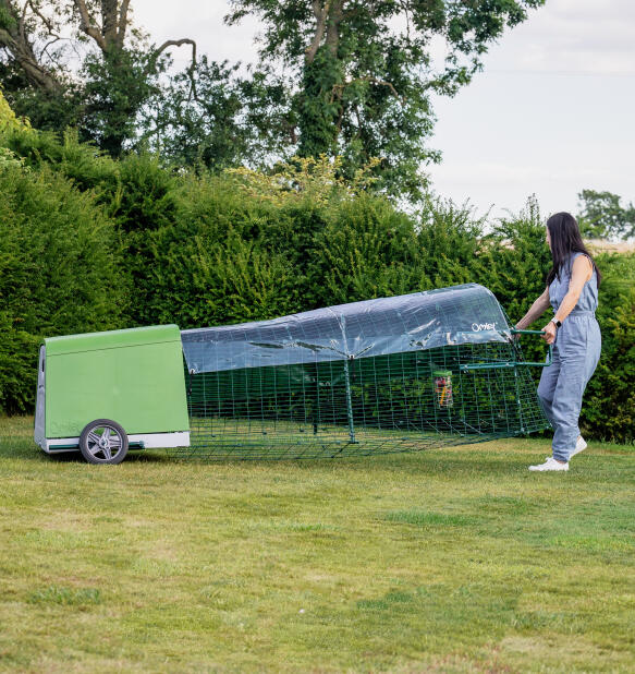 Woman moving the portable Eglu Go chicken coop in a backyard