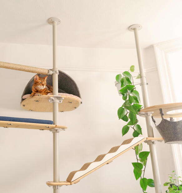 Freestyle Cat Tree Floor to Ceiling Customisable Cat Tree Omlet