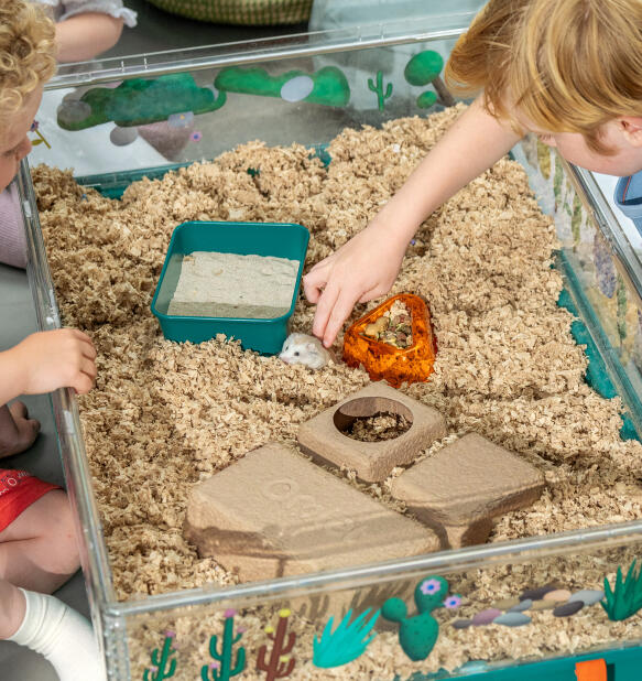 Top view inside Omlet's large hamster cage with accessories