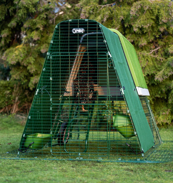 Two chickens in a weather resistant Eglu Go up run