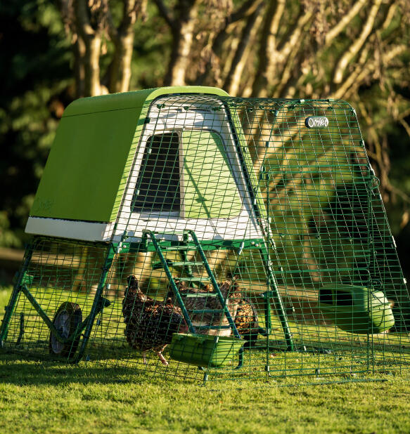 Upgrade to an Eglu Go up chicken coop