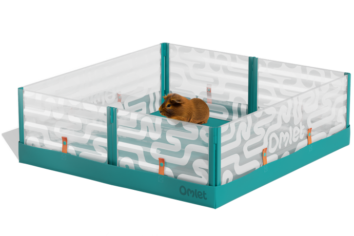 Guinea pig pop up playpens