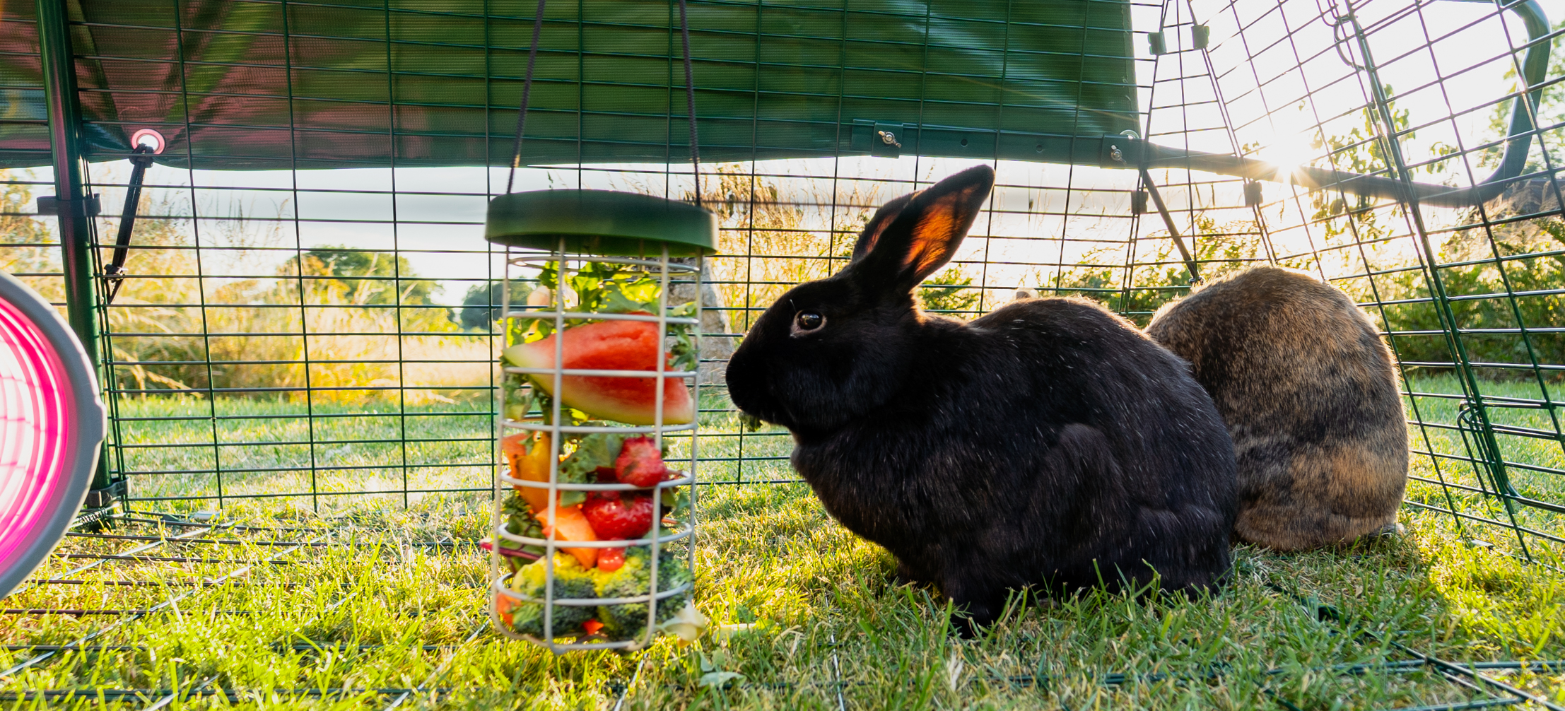 A rabbit outlet hutch