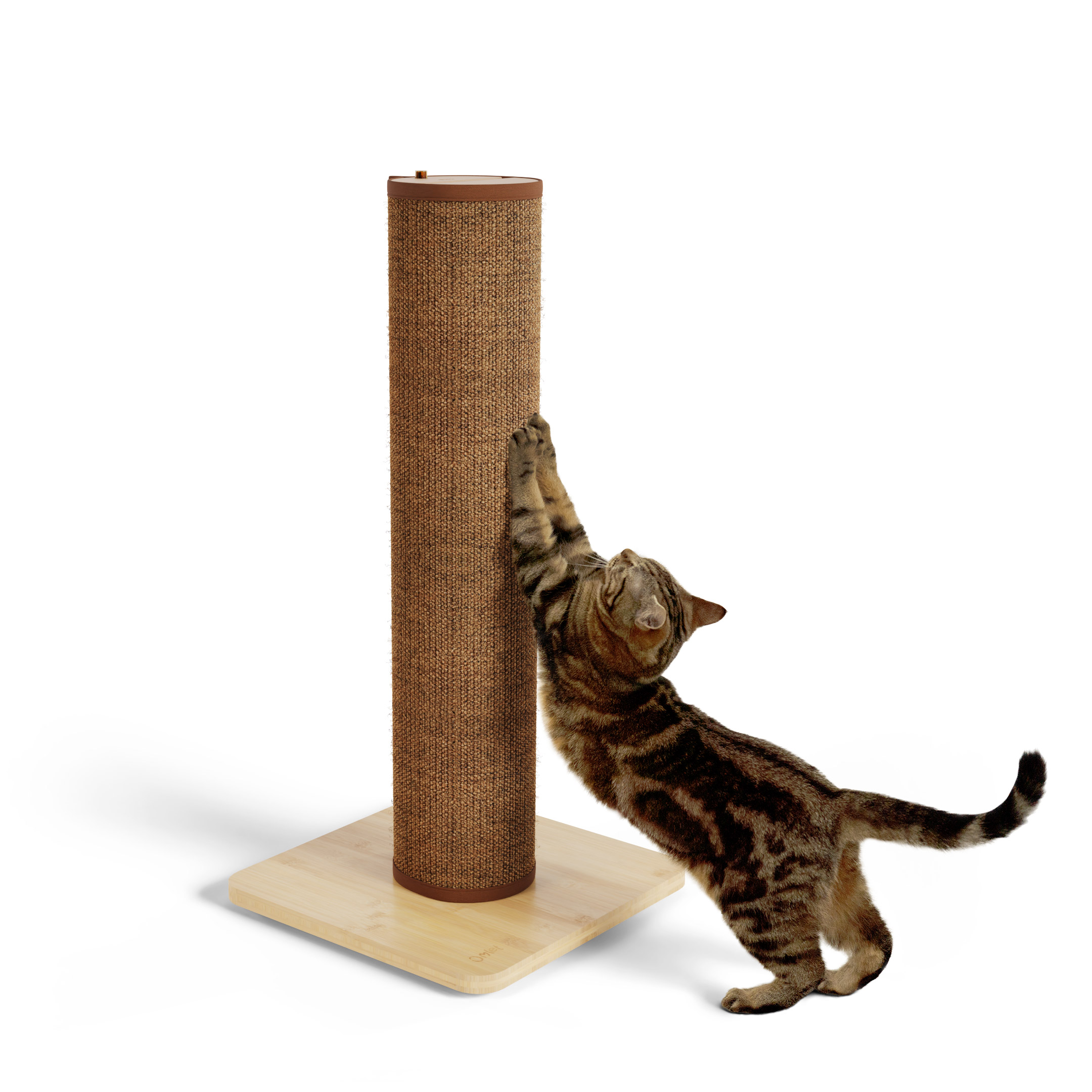 Cat scratching post outlet cheap as chips