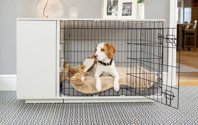 dog sleeping inside a modern dog crate