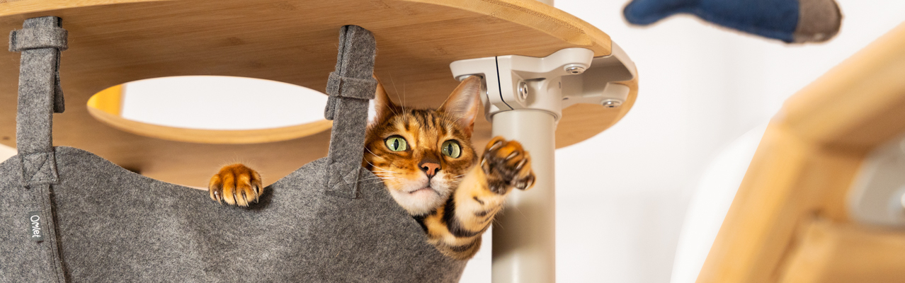 Cat trees, cat runs and other pet products designed by Omlet