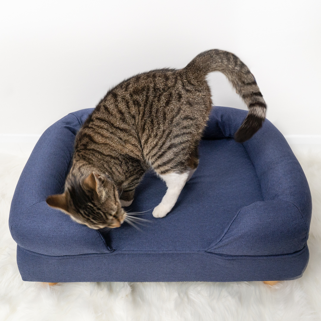 Beds for cats with cheap arthritis