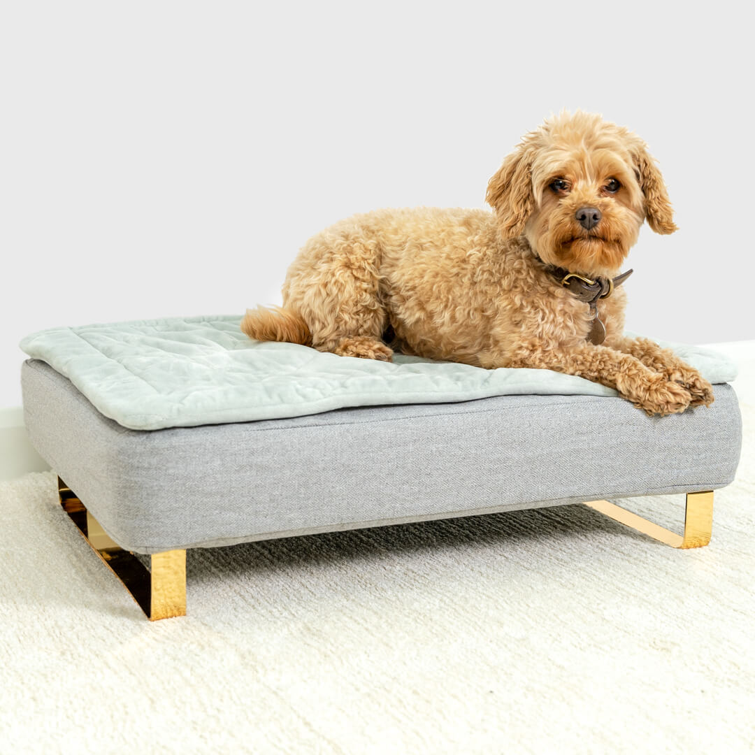 Metal dog bed clearance frame