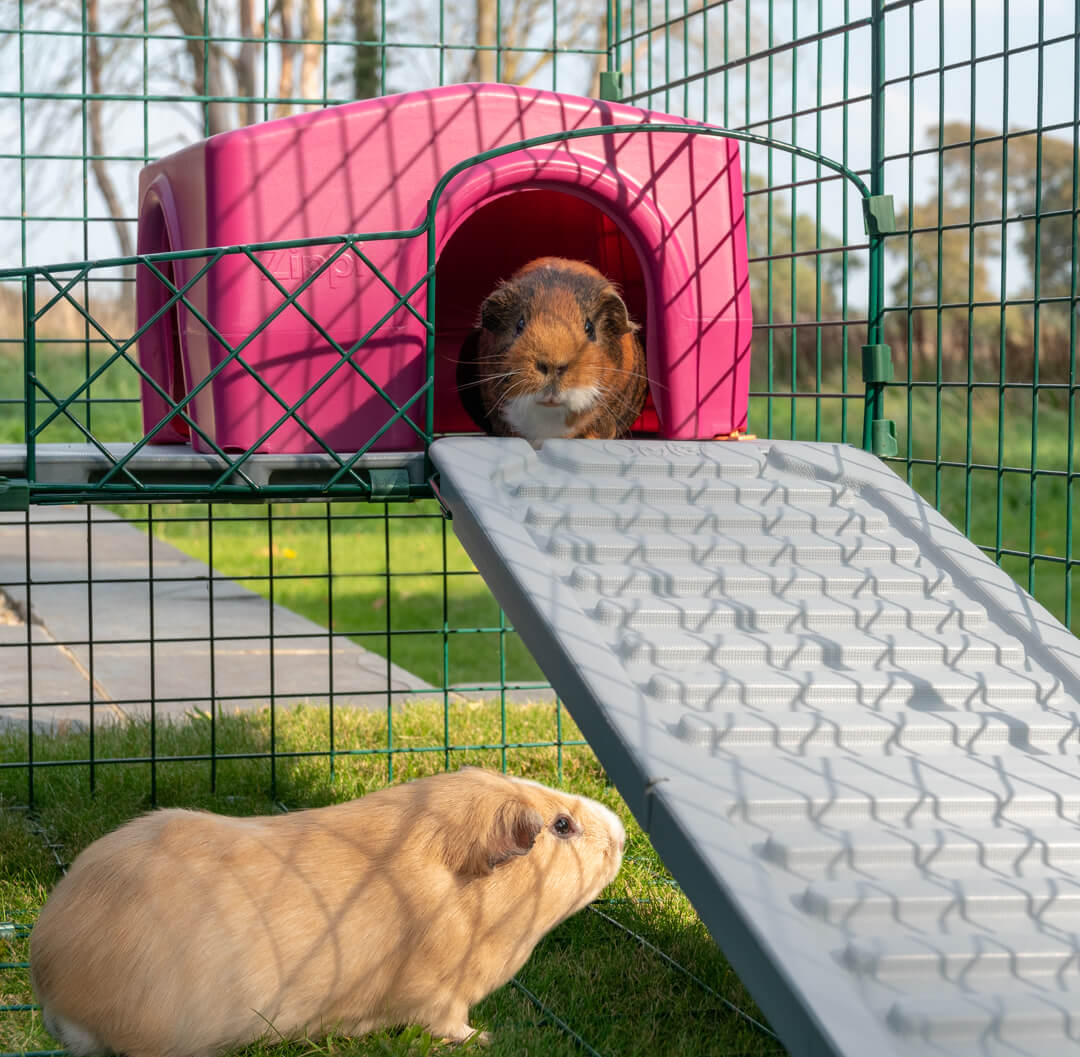 cage ramps and platforms