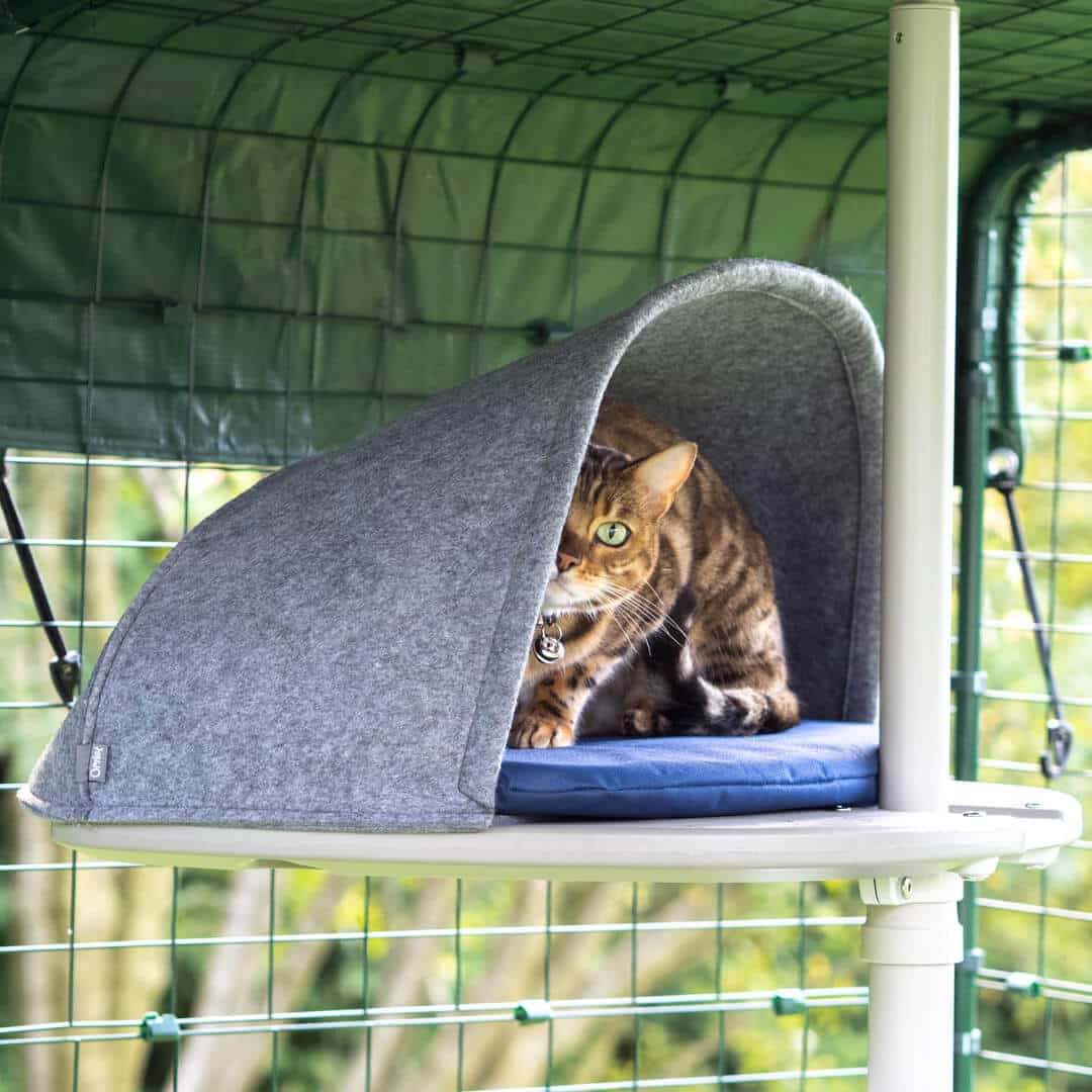 Outdoor cat outlet bed