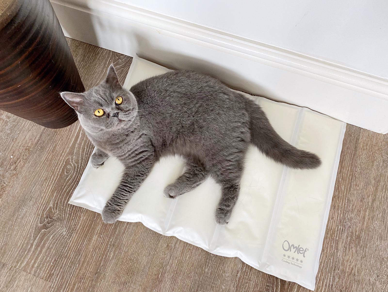 Pet mats hotsell for cats